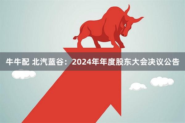 牛牛配 北汽蓝谷：2024年年度股东大会决议公告