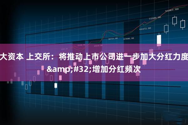 大资本 上交所：将推动上市公司进一步加大分红力度&#32;增加分红频次