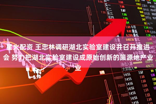 星火配资 王忠林调研湖北实验室建设并召开推进会 努力把湖北实验室建设成原始创新的策源地产业
