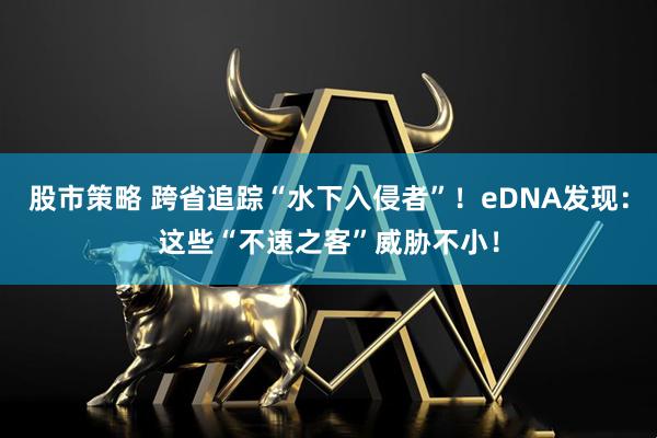股市策略 跨省追踪“水下入侵者”！eDNA发现：这些“不速之客”威胁不小！